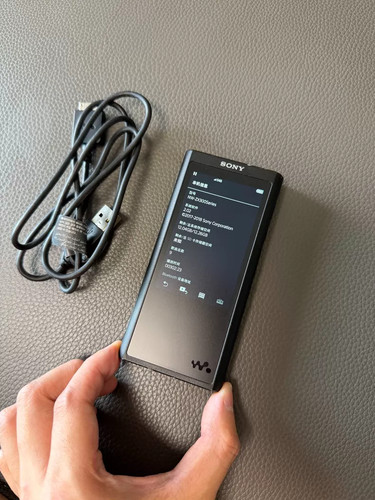 Sony zx300a res 16gb - sony, nw-zx300a