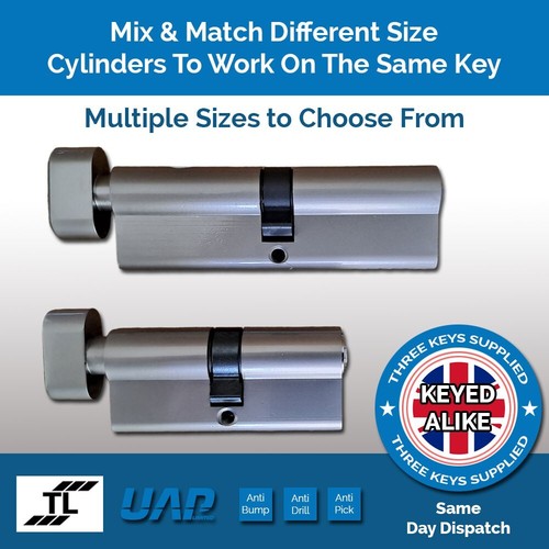 Keyed alike euro cylinder - alike,