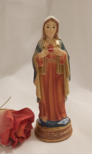 Virgin mary sacred heart - mary,