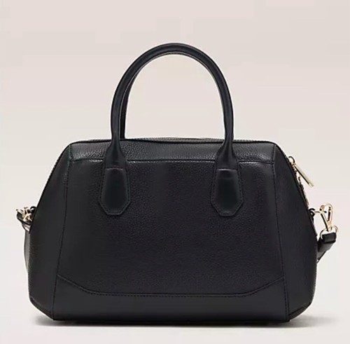 Paul costelloe dressage - paul,