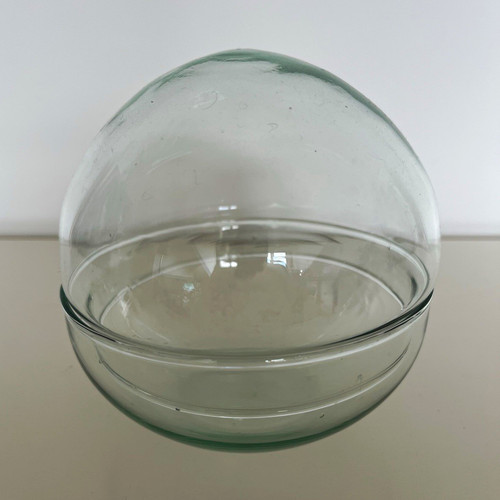 Clear glass globe terrarium - clear,