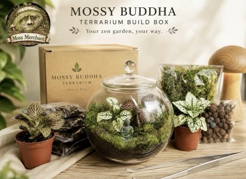 Terrarium build kit - terrarium, 🪴🌱|