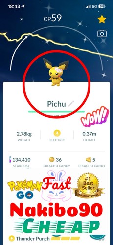 Pokemon shiny pichu wearing - pichu,
