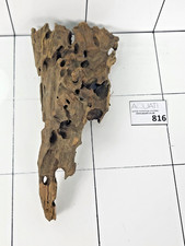 Premium Aquarium Natural Dragon Wood Driftwood FishTank Terrarium Decoration 816