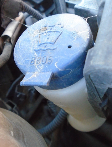 Fiat punto evo - punto,