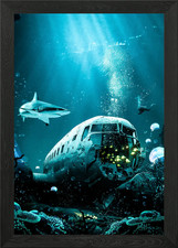 Plane Crash Framed Wall Art