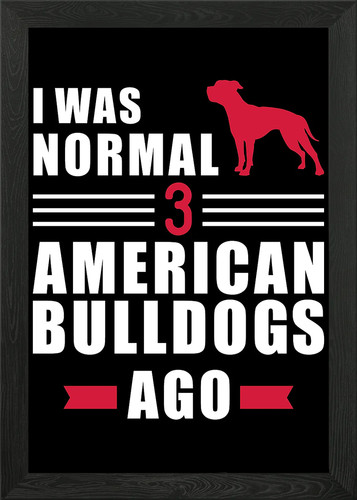 American bulldog framed - bulldog,