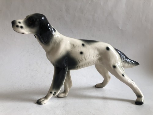 English setter pointer dog - english,