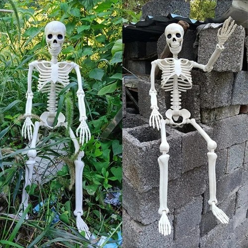 Giant life size human skeleton - giant,
