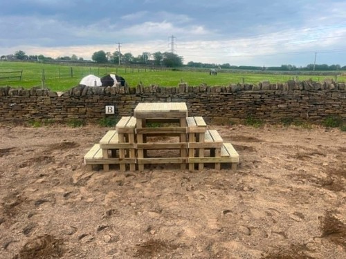 Equestrian steps both sides - 4,
