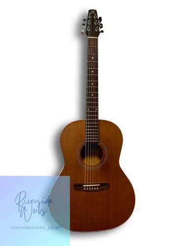 Seagull folk acoustic - seagull,