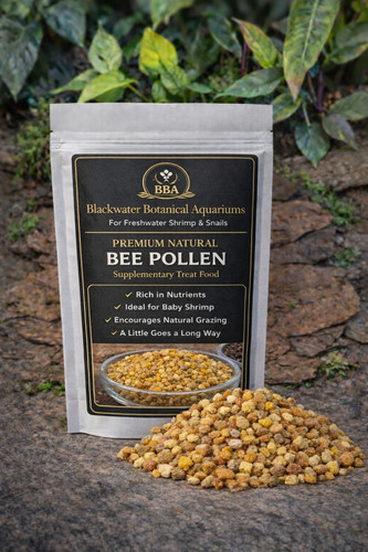 Bee pollen shrimp food - bee,