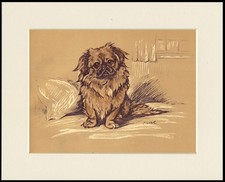 PEKINGESE VINTAGE DOG ART