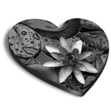 Heart MDF Magnets - BW - Water