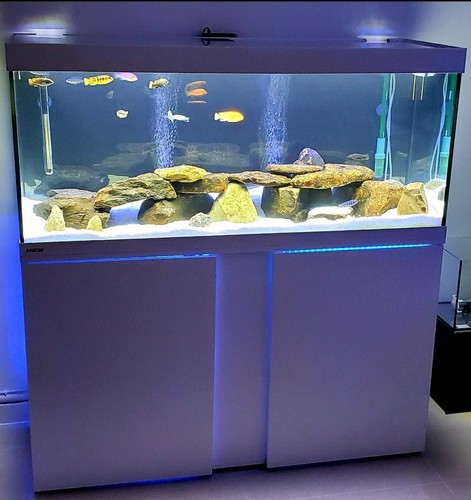 Eheim vivaline 4ft - 240, liters