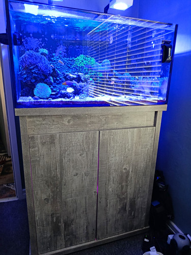 Reef pro 900 marine - dd, full