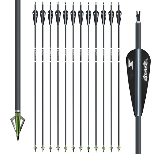 12pcs carbon arrows - 12pcs,