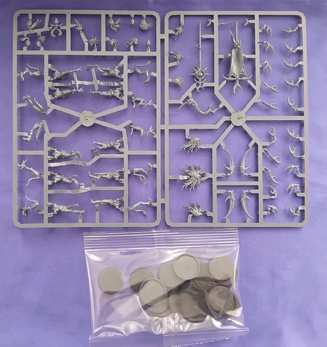 Daemonettes unit age of - 10,,