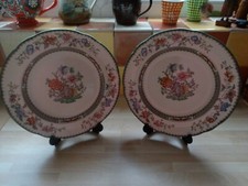 TWO SPODE "CHINESE ROSE" 9" SIDE PLATES.