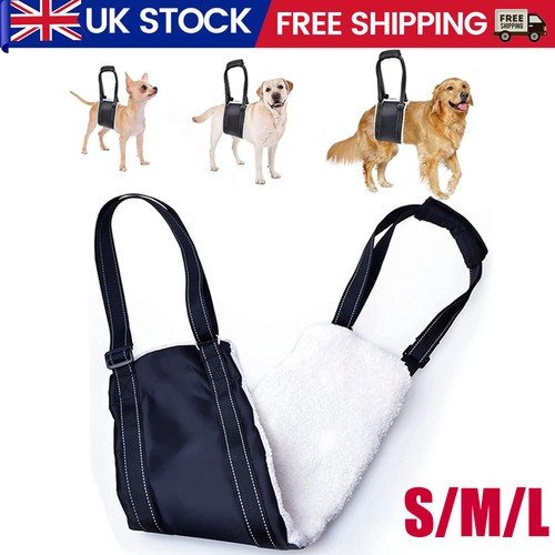 Large dog mobility aids - mobility,