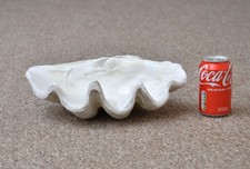 NEW Resin Large Clam Shell