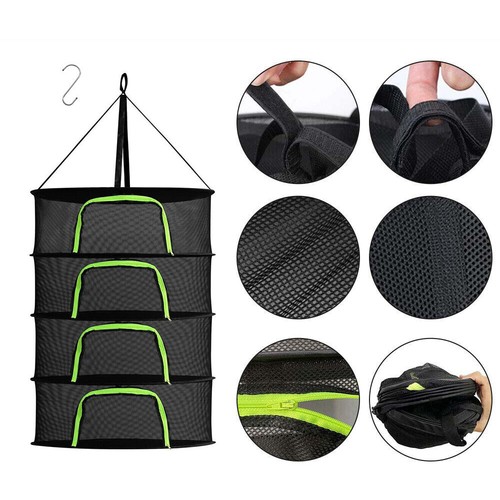 Bean with zipper drying - bean,