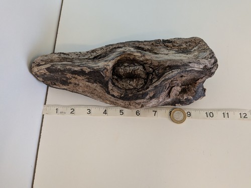Chunky driftwood piece - #20.,