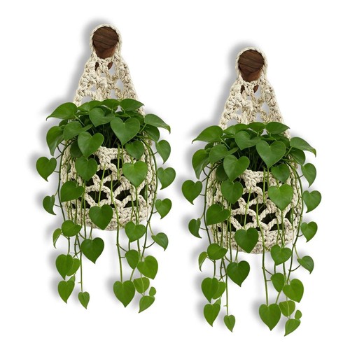 Macrame plant hanger handwoven - macrame,