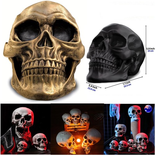 Life size human skull model - life,