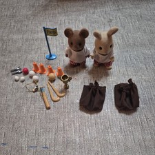 Sylvanian Families School