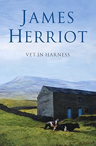 Vet harness james herriot - in, harness-james