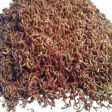 Blood worms Fish Food Freeze Dried for Tropical Marine Reptiles Koi Goldfish Fry