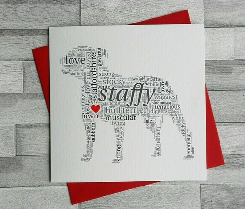 Staffy staffordshire bull - staffordshire,