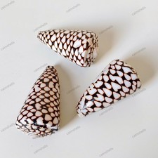 Marble Cone Natural  Sea