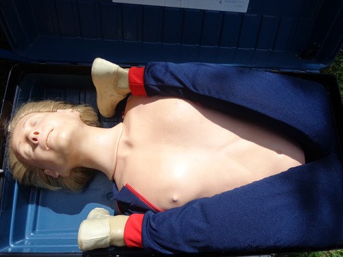 Laerdal resusci anne - laerdal, torso