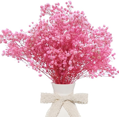 Dried babys breath bulk - dried,
