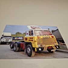 BUY 1 GET 1 FREE! Brain