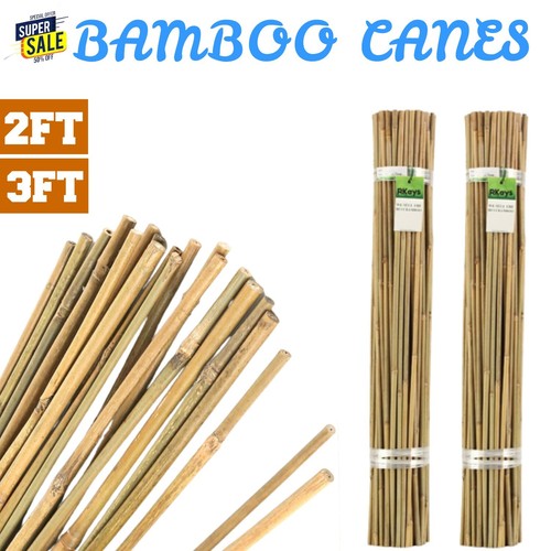 2ft 3ft bamboo garden canes - garden,