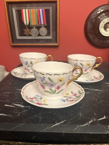 Beautiful shelley hand painted - beautiful,