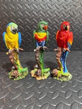 Macaw Parrot Realistic