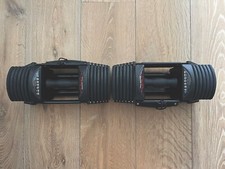 adjustable dumbbells pair