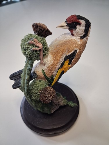 Country birds collection - country,