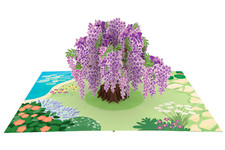 Flowers & Trees 3D Pop-Up