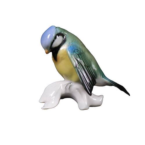Karl ens blue tit - karl, bird