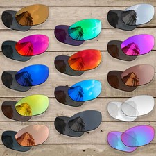 Anti-Scratch Polarized