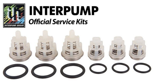 Interpump kit 269 white valves - kit,