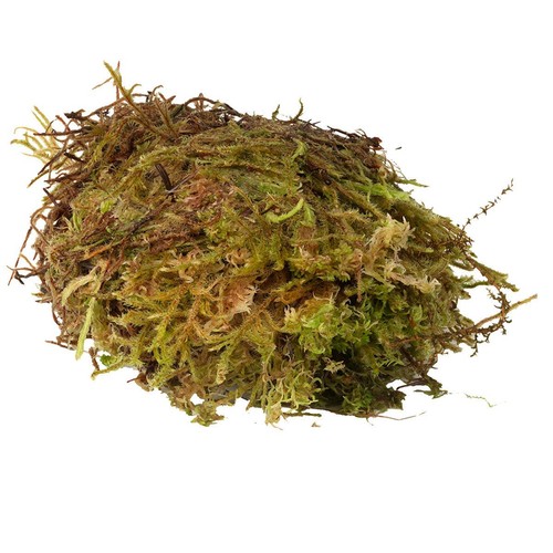 Habistat sphagnum moss - sphagnum,