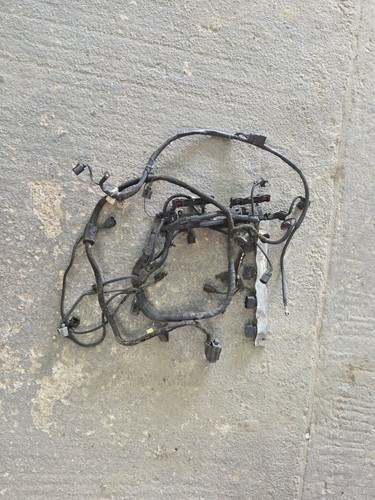 Bam engine wiring loom - 1.8t,