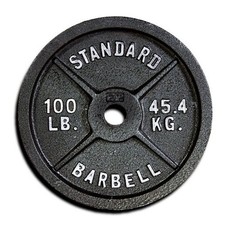 Single 100 lbs. Weight Plate