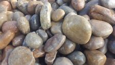 **Decorative Gravel - Scottish Moray Cobbles - Bulk Bag**